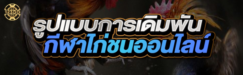 รูปแบบการเดิมพัน กีฬาไก่ชนออนไลน์