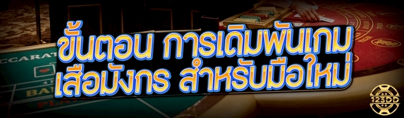 ขั้นตอน การเดิมพันเกมเสือมังกร สำหรับมือใหม่ 