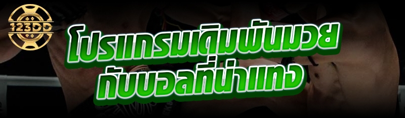 โปรแกรมเดิมพันมวยกับบอลที่น่าแทง