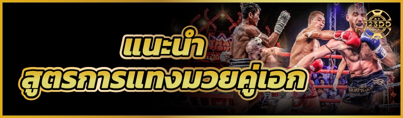 แนะนำสูตร การแทงมวย คู่เอก      