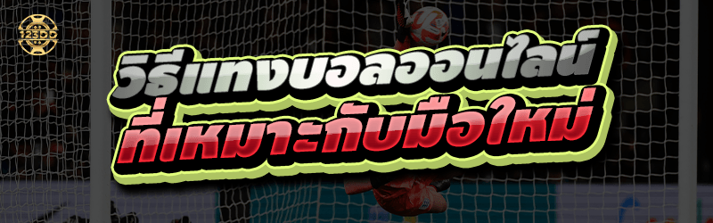 วิธีแทงบอลออนไลน์ ที่เหมาะกับมือใหม่