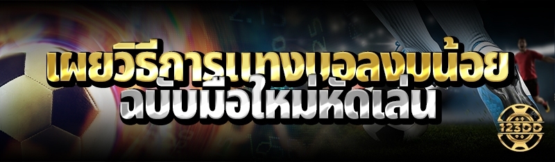 เผยวิธีการแทงบอลงบน้อย ฉบับมือใหม่หัดเล่น